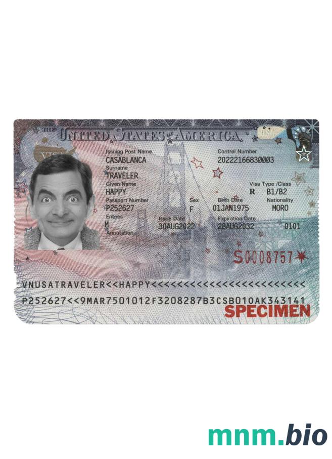 Wiza USA 2022-obecnie